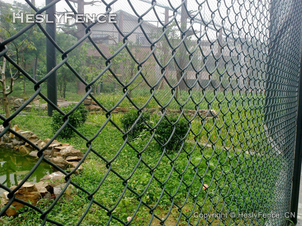 PVC coated Chain Link Fence