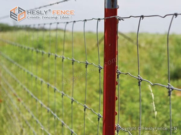 T Fence Post China Manufacturer